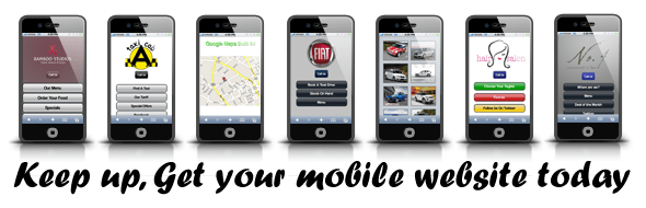 Mobile friendly websites